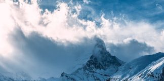 Avalanche (AVAX) Rallies On Fed Fee Minimize, DeFi Progress Boosts Lengthy-Time period Outlook