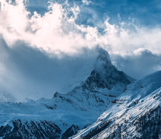Avalanche (AVAX) Rallies On Fed Fee Minimize, DeFi Progress Boosts Lengthy-Time period Outlook