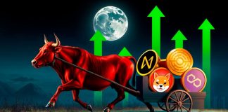 High Four Cryptos for Month-Finish Enhance: MATIC, NEAR, SHIB, & MTAUR High Four Cryptos for Month-Finish Enhance: MATIC, NEAR, SHIB, & MTAUR