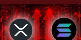 Wall Avenue Knowledgeable Says this Crypto AI Altcoin is Heading for 5000x Returns Outperforming Solana and Ripple (XRP)