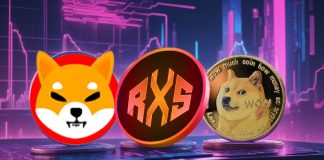 Dogecoin Value Forecast: $1 Appears Unlikely as PEPE and One other Rival Token Below $0.10 Entice DOGE Buyers