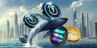 Whales Pump XRP and Solana Whereas Accumulating JetBolt Altcoin