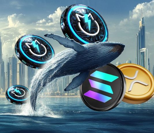 Whales Pump XRP and Solana Whereas Accumulating JetBolt Altcoin Whales Pump XRP and Solana Whereas Accumulating JetBolt Altcoin