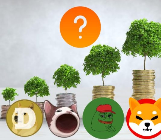 Greatest Crypto Meme Cash to Make Double Digit Revenue in 2024 [Updated List]
