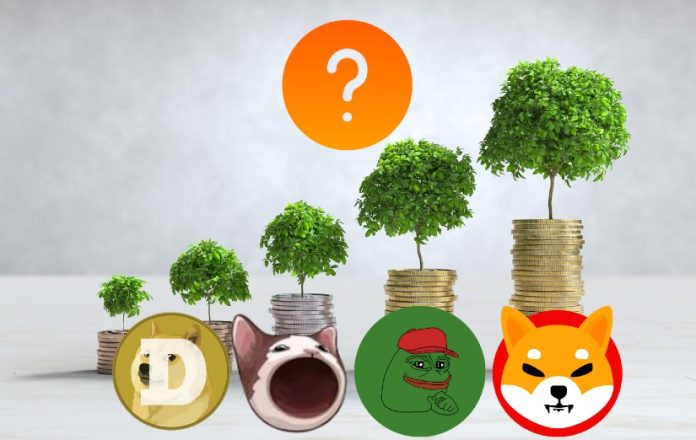 Greatest Crypto Meme Cash to Make Double Digit Revenue in 2024 [Updated List]