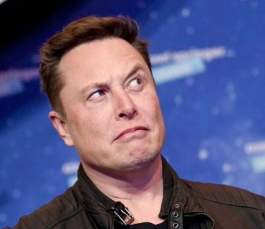 Elon Musk’s High three Picks For 2024-2025? Dogecoin, NEIRO, And ETFSwap Take The Cake