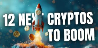 Subsequent Large Crypto to Increase in 2024-2025 [List] – Potential 1000x