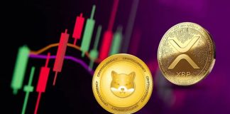 Nasdaq Professional Says This Crypto AI Altcoin Is Going for 6000x Returns Outshining XRP and Shiba Inu in Q3 2025