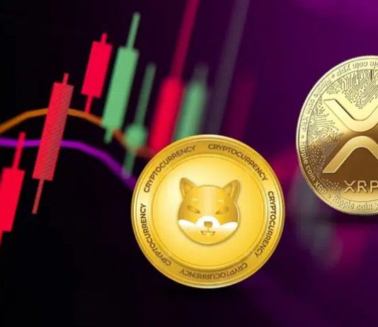 Nasdaq Professional Says This Crypto AI Altcoin Is Going for 6000x Returns Outshining XRP and Shiba Inu in Q3 2025