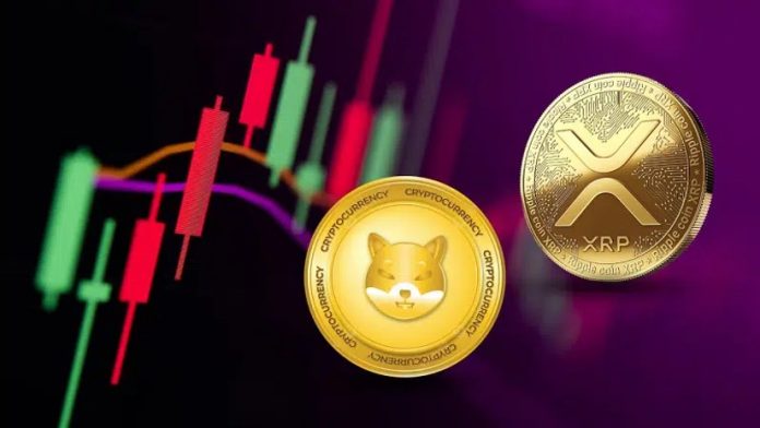 Nasdaq Professional Says This Crypto AI Altcoin Is Going for 6000x Returns Outshining XRP and Shiba Inu in Q3 2025