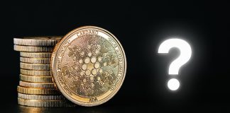 Beneath the Radar Cardano (ADA) Different Priced at $0.03 Completes Bullish Sample, 1000x Positive aspects Seemingly