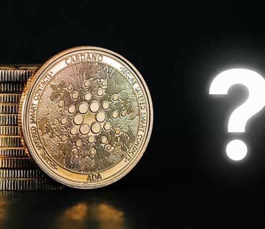 Beneath the Radar Cardano (ADA) Different Priced at $0.03 Completes Bullish Sample, 1000x Positive aspects Seemingly