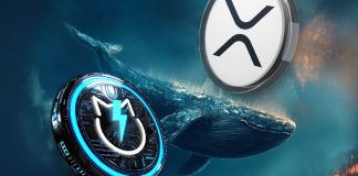 Ripple XRP Whales Transfer Hundreds of thousands and Accumulate JetBolt Altcoin