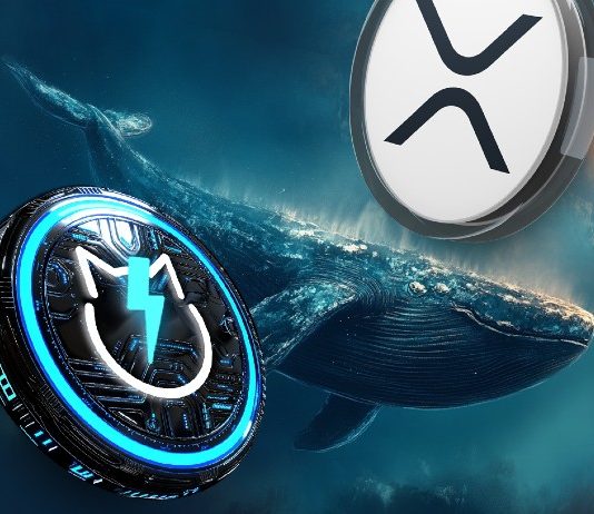 Ripple XRP Whales Transfer Hundreds of thousands and Accumulate JetBolt Altcoin