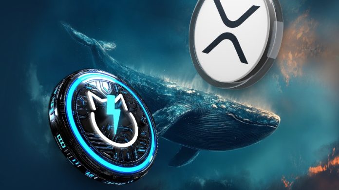 Ripple XRP Whales Transfer Hundreds of thousands and Accumulate JetBolt Altcoin