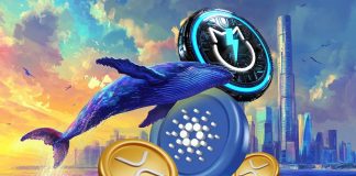 Cardana (ADA) Surges 8.55% Whereas XRP Ripple Headed for Crash and JetBolt Rockets Upwards