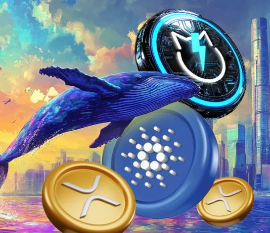Cardana (ADA) Surges 8.55% Whereas XRP Ripple Headed for Crash and JetBolt Rockets Upwards