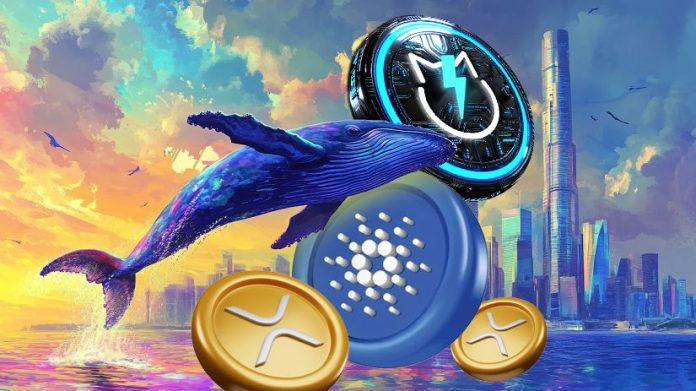 Cardana (ADA) Surges 8.55% Whereas XRP Ripple Headed for Crash and JetBolt Rockets Upwards