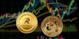 Dogecoin Analyst Says Getting RCO Finance As we speak at $0.03 is Like Shopping for Shiba Inu in 2021