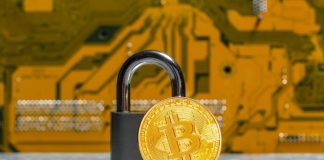 Crypto Exchanges Fortify Defenses: Your Digital Wealth’s New Guardians