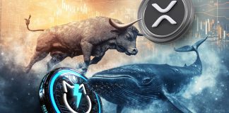 XRP Bulls prevail as Ripple Value Forecast strikes into the inexperienced; XRP Whales Shopping for JetBolt at this time