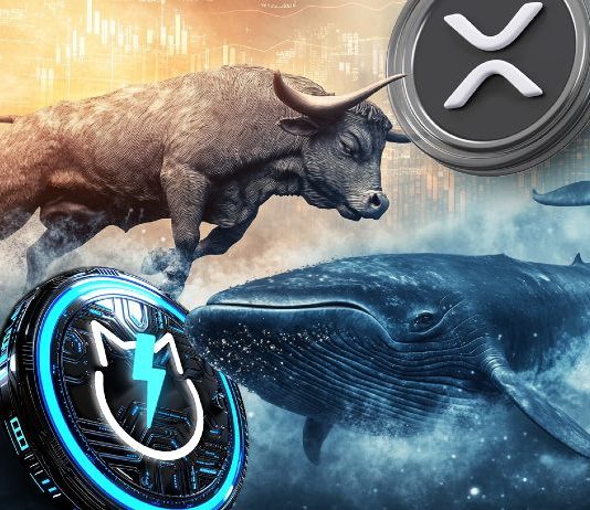 XRP Bulls prevail as Ripple Value Forecast strikes into the inexperienced; XRP Whales Shopping for JetBolt at this time