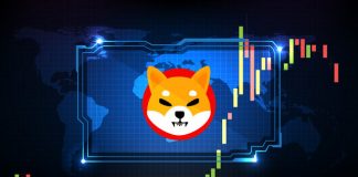 Shiba Inu Breakout Eyes $0.00002631 Stage After Rallying Over 19%