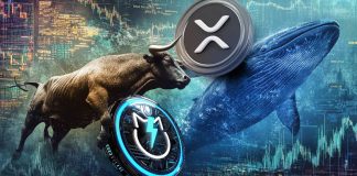 XRP RLUSD Lights Path for Ripple Enlargement Amidst JetBolt Surge