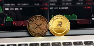 Ripple (XRP) Merchants Multiply their Portfolios by 100x with this Solana Various Beneath $1