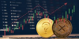 Bloomberg Analyst Explains Why the XRP Value Can Rise 12,140% Surpassing Shiba Inu and Dogecoin in three Months
