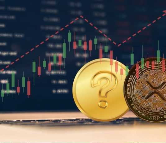 Bloomberg Analyst Explains Why the XRP Value Can Rise 12,140% Surpassing Shiba Inu and Dogecoin in three Months