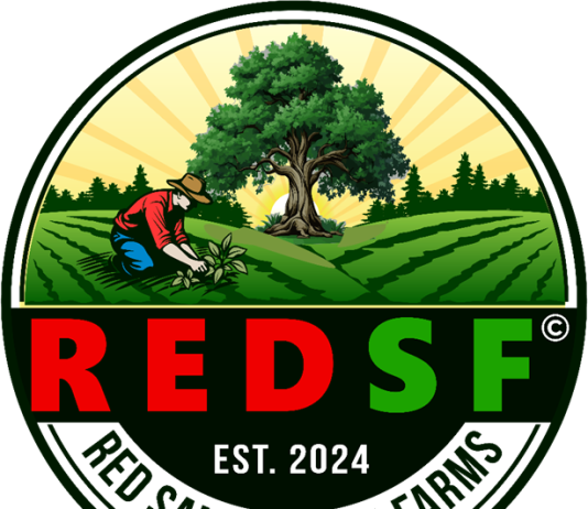 REDSF Launches First-Ever Web3 Gaming Platform Integrating AI with Actual-World Asset Rewards