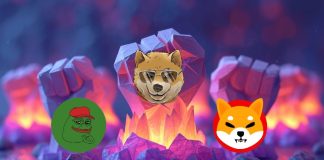 Dogen Value Is Rising Quick, PEPE and SHIB Lag Behind – New Meme Coin Powerhouse?