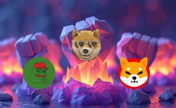 Dogen Value Is Rising Quick, PEPE and SHIB Lag Behind – New Meme Coin Powerhouse?