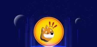 BONK In Bother As Sharp Decline Hints At An Impending Pullback