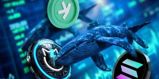Crypto Whales are Shopping for Solana, Kaspa, and JetBolt as Altseason Approaches Quick