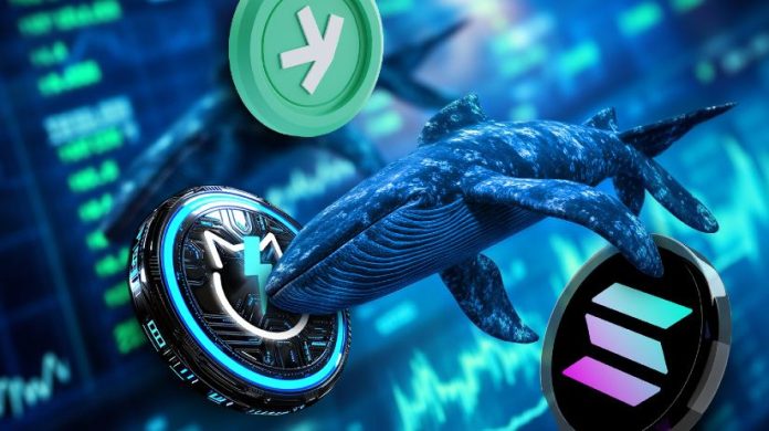 Crypto Whales are Shopping for Solana, Kaspa, and JetBolt as Altseason Approaches Quick