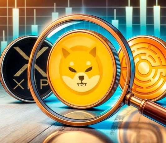 Three Should-Have Cash Able to 100x: XRP, SHIB & MTAUR
