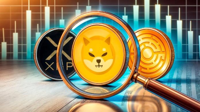 Three Should-Have Cash Able to 100x: XRP, SHIB & MTAUR