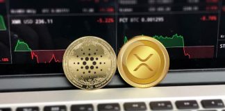 Ethereum Presale Token Triggers Large FOMO From Ripple (XRP) and Cardano (ADA) Whales Eyeing 10,000x Run
