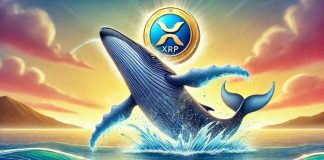 Ripple Whales Transfer 400 Million XRP In 24 Hours, Right here’s The place They’re Headed