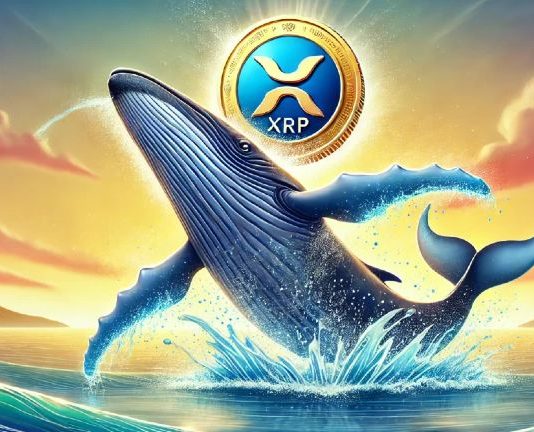 Ripple Whales Transfer 400 Million XRP In 24 Hours, Right here’s The place They’re Headed Ripple Whales Transfer 400 Million XRP In 24 Hours, Right here’s The place They’re Headed