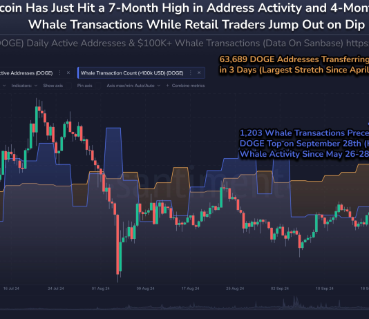 Dogecoin Worth Slides 18% However Whale Exercise Suggests Bullish Outlook
