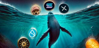 Whale Picks in October: High 6 Cash – XRP, ADA, SOL, SUI, WIF, MTAUR