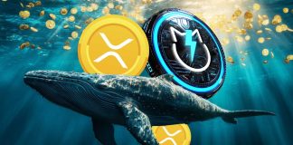XRP Breaking Information: 2.5% Value Dip in 24 hours Amidst Whale Accumulation and JetBolt’s Rise