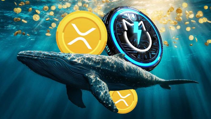XRP Breaking Information: 2.5% Value Dip in 24 hours Amidst Whale Accumulation and JetBolt’s Rise