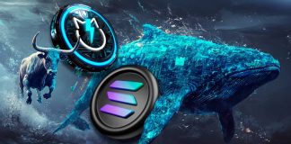 Solana (SOL) Worth Forecast: Can Solana Hit $350 and Can New Altcoin JetBolt Explode