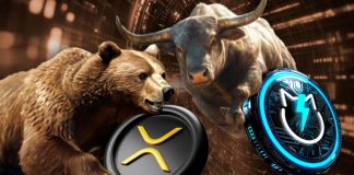 SEC Appeals $125 Million XRP Lawsuit Amidst New Altcoin Shopping for Frenzy
