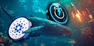 Cardano Trending Information: ADA faces worth stress at $0.35 whereas whales look to JetBolt