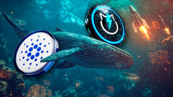 Cardano Trending Information: ADA faces worth stress at $0.35 whereas whales look to JetBolt